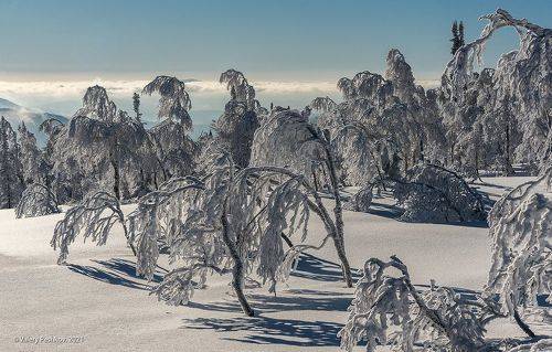 Мороз и солнце