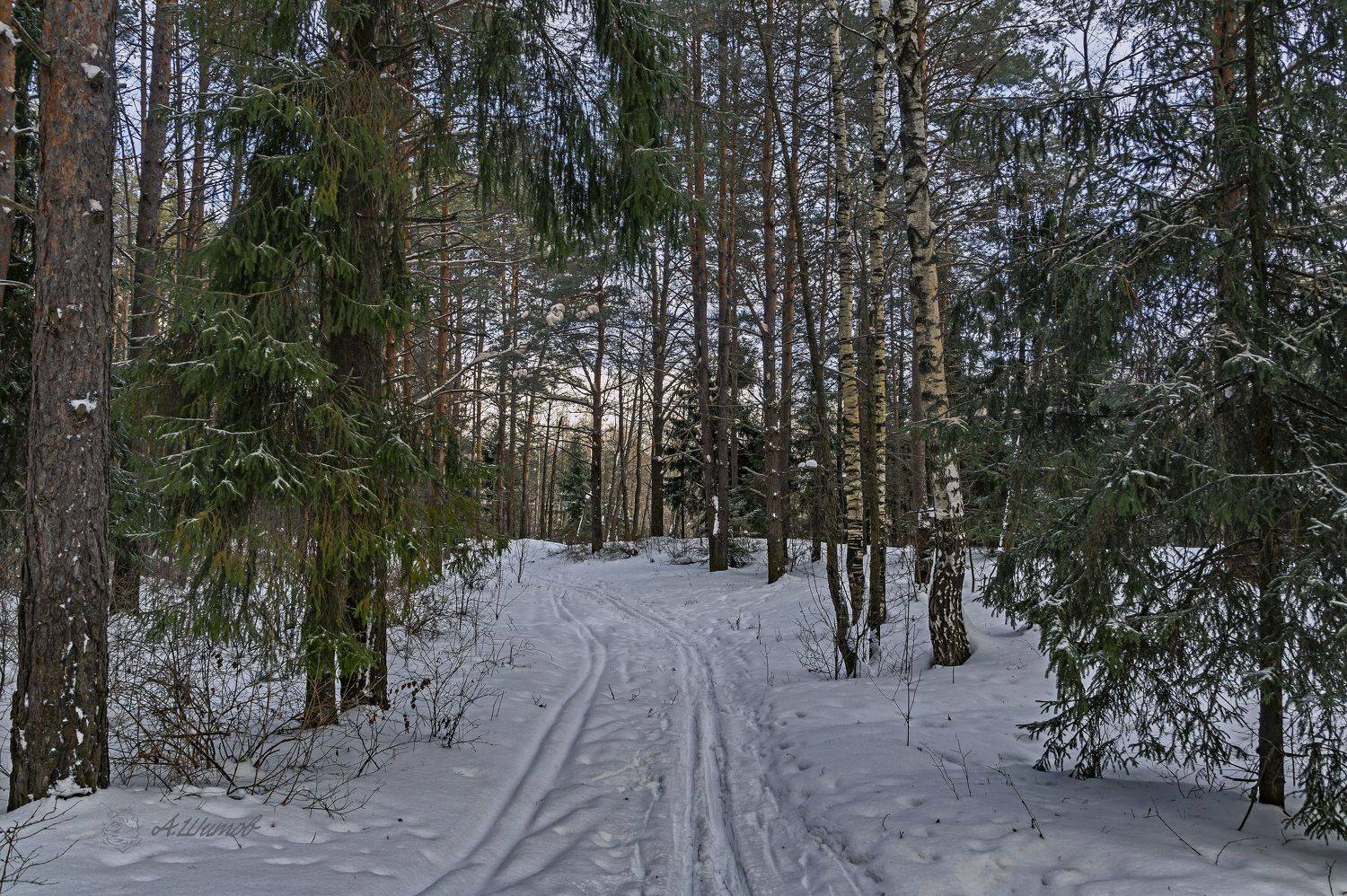 , Шитов Александр