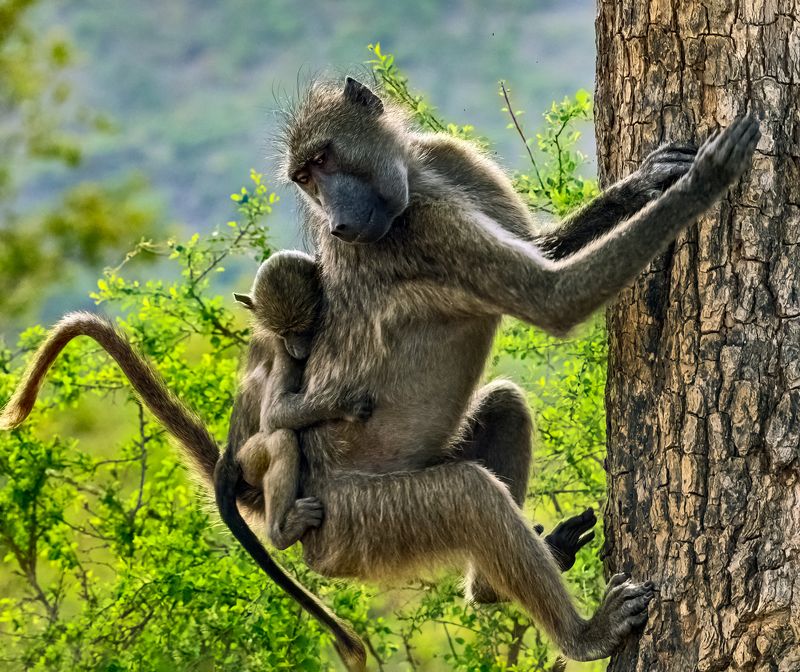Кажется заснул фото превью