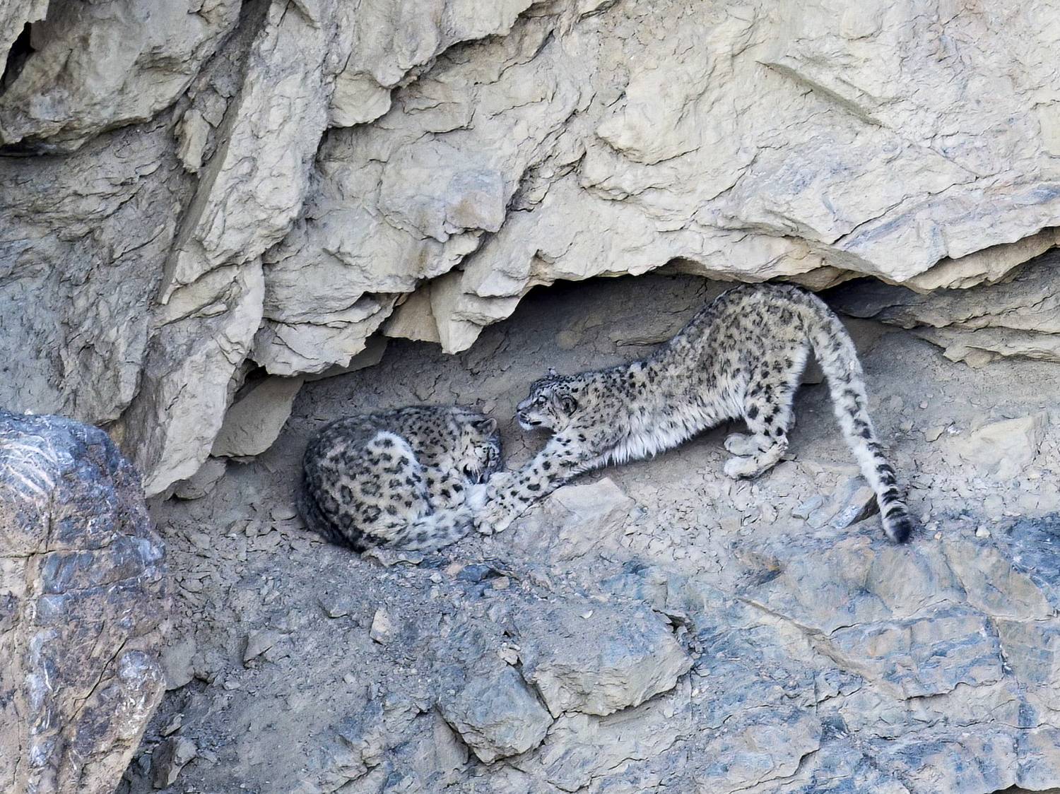 , Пупонин Сергей