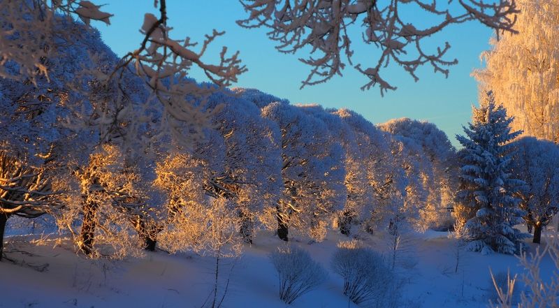 Солнце декабря. фото превью
