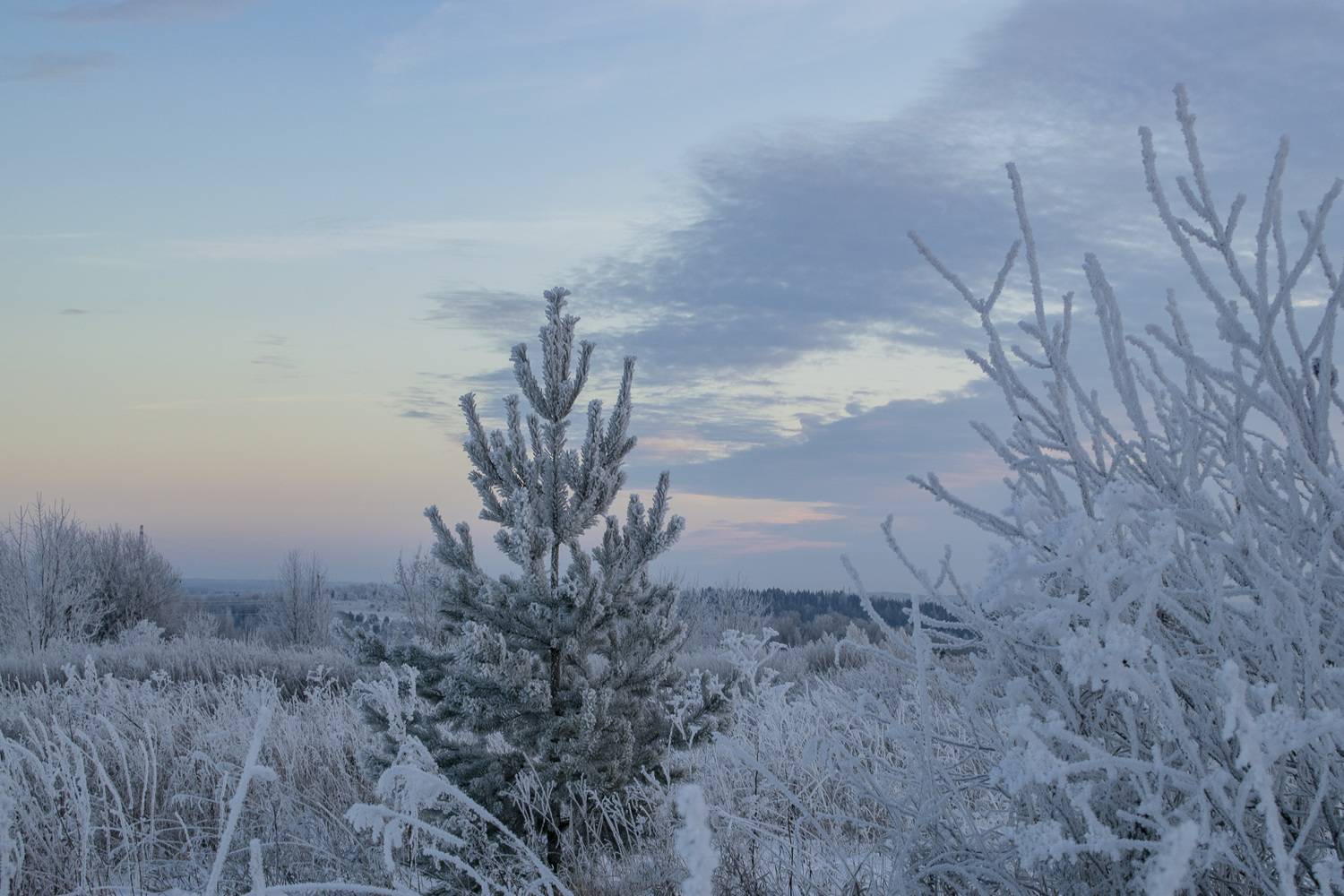 , Галина Луценко