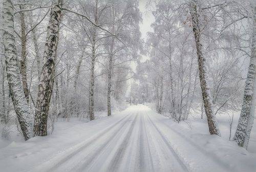 Зимняя дорога