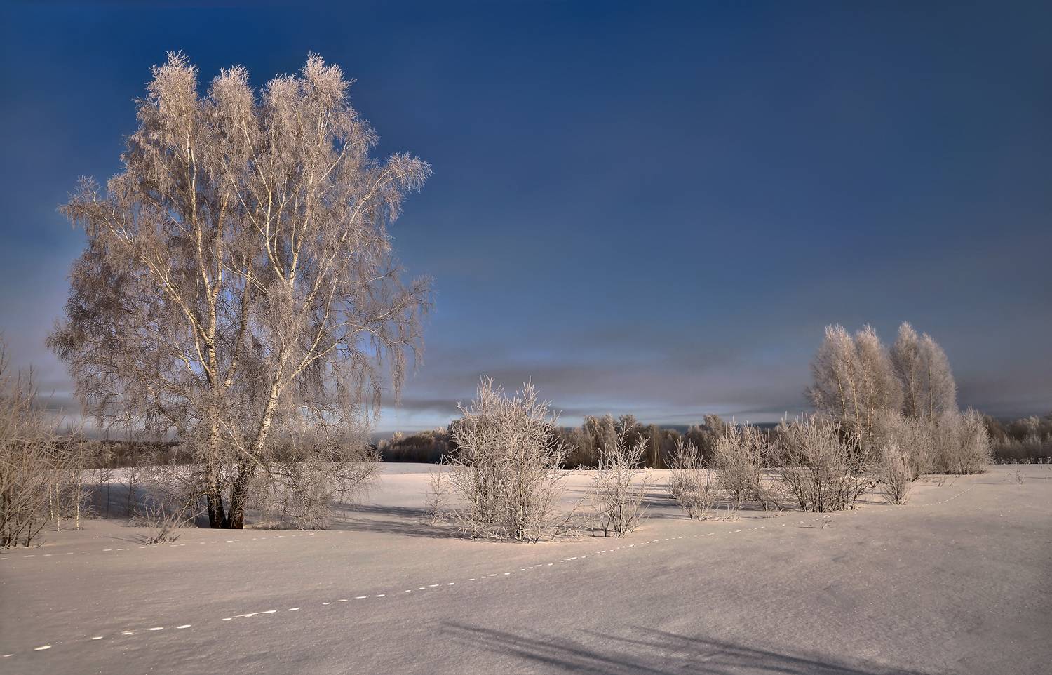 , Алексей Хахлов