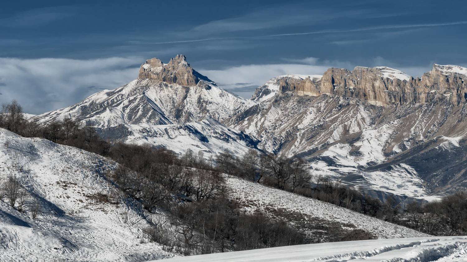 , Алиева Татьяна