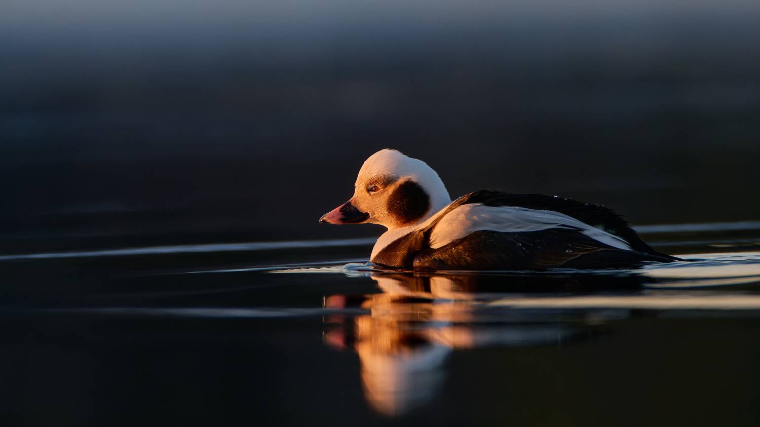 , Александр Семенов