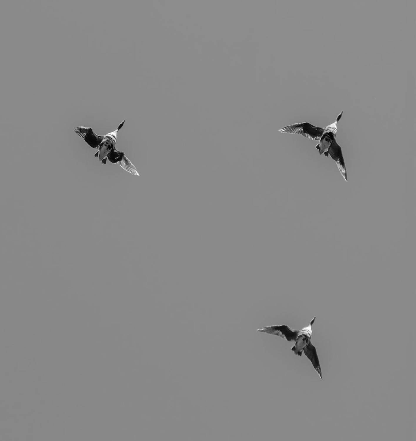 , Савенко Кирилл