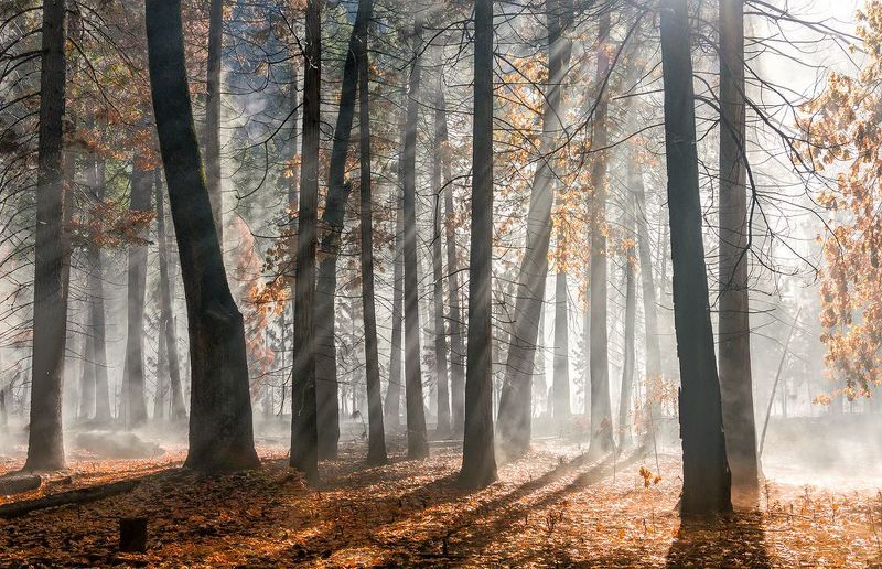 -/ фото превью