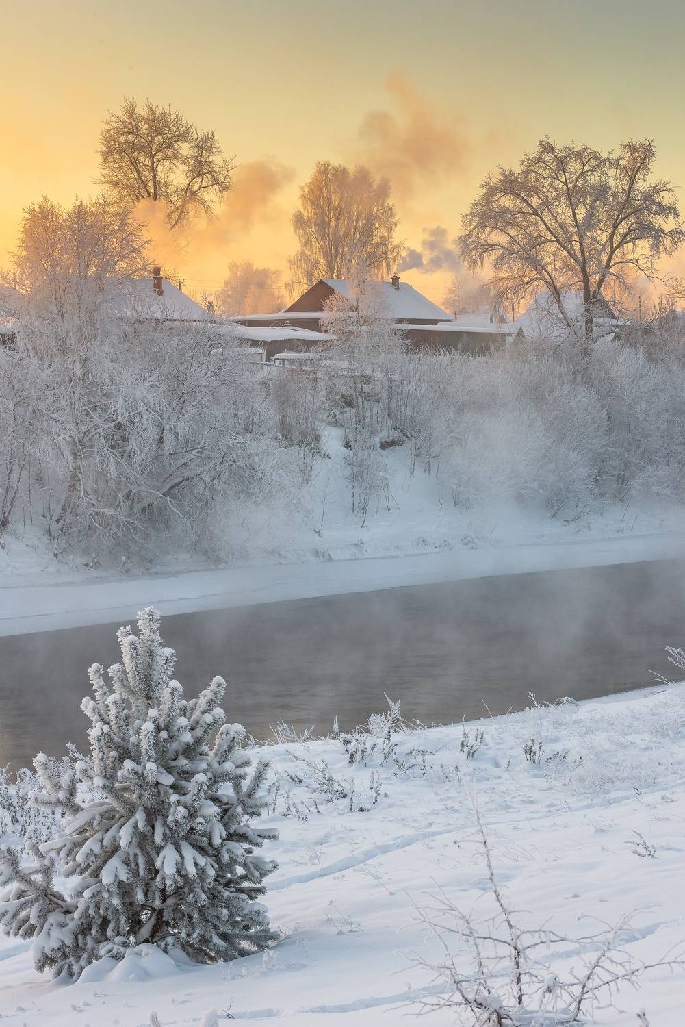 , Шуплецов Алексей