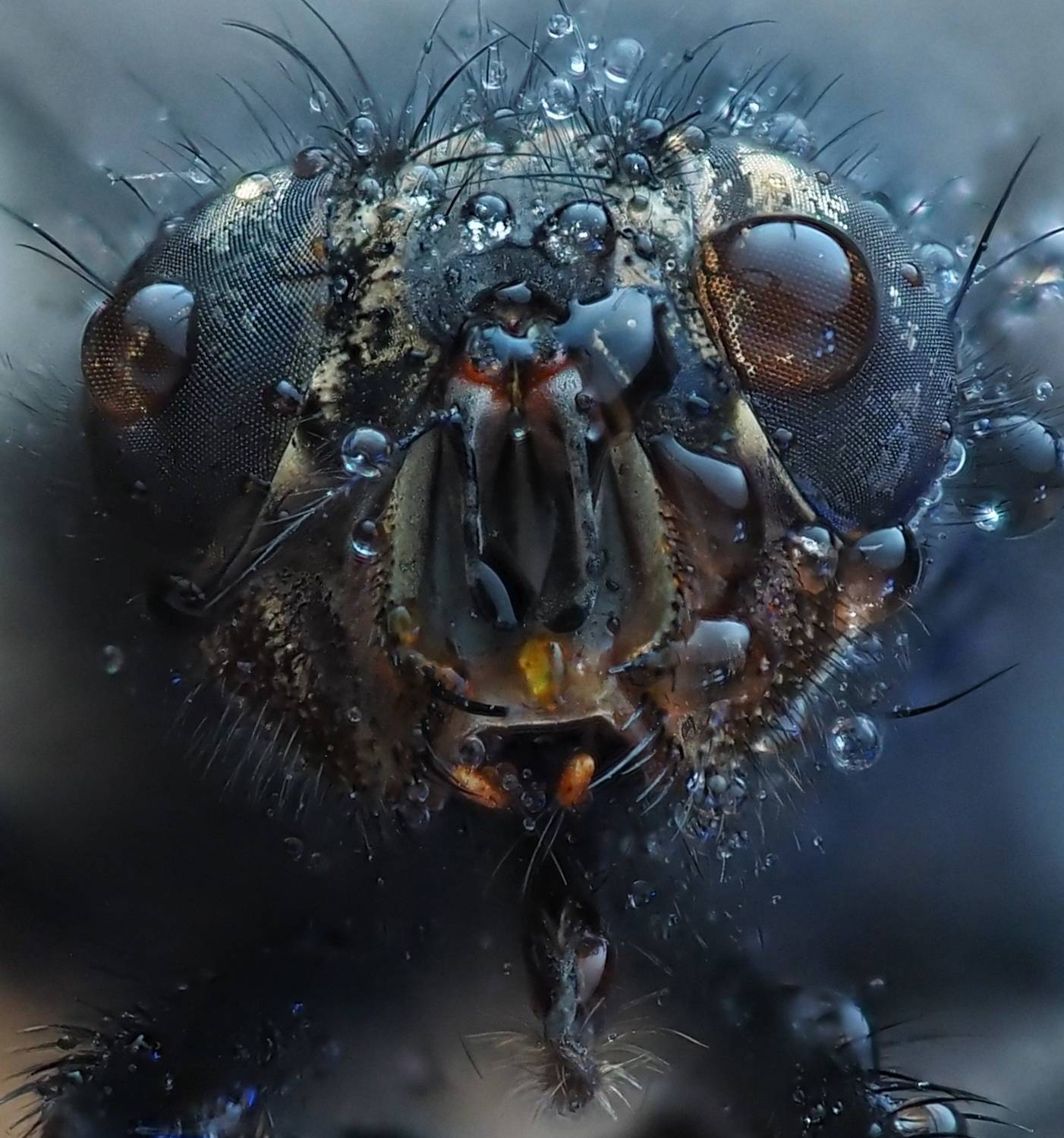 , Савчук Анатолий