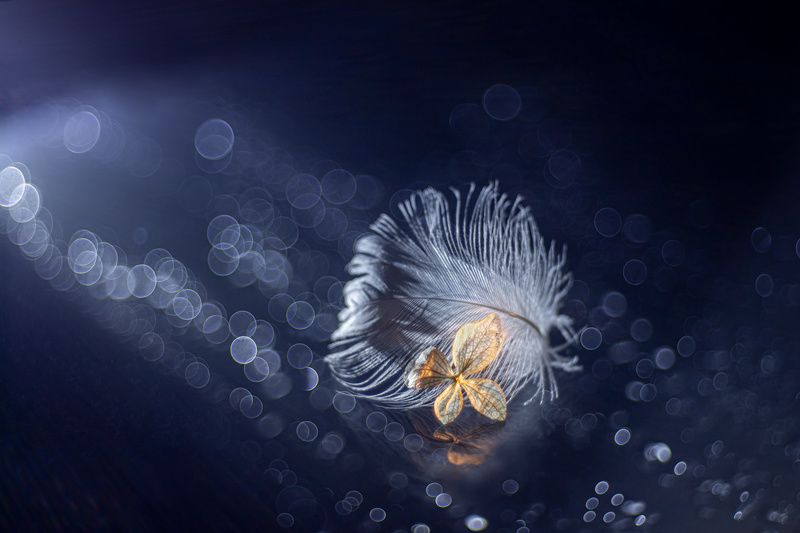 Restfulness фото превью