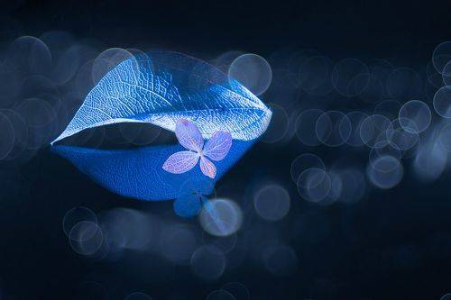Into a flow