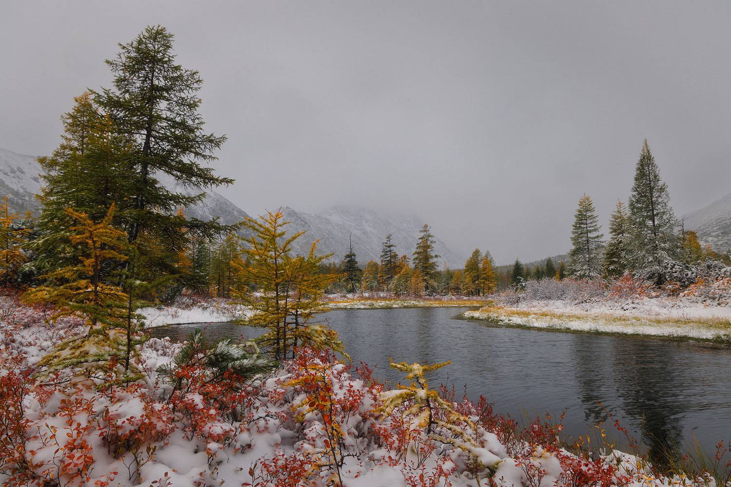 , Морозов Сергей