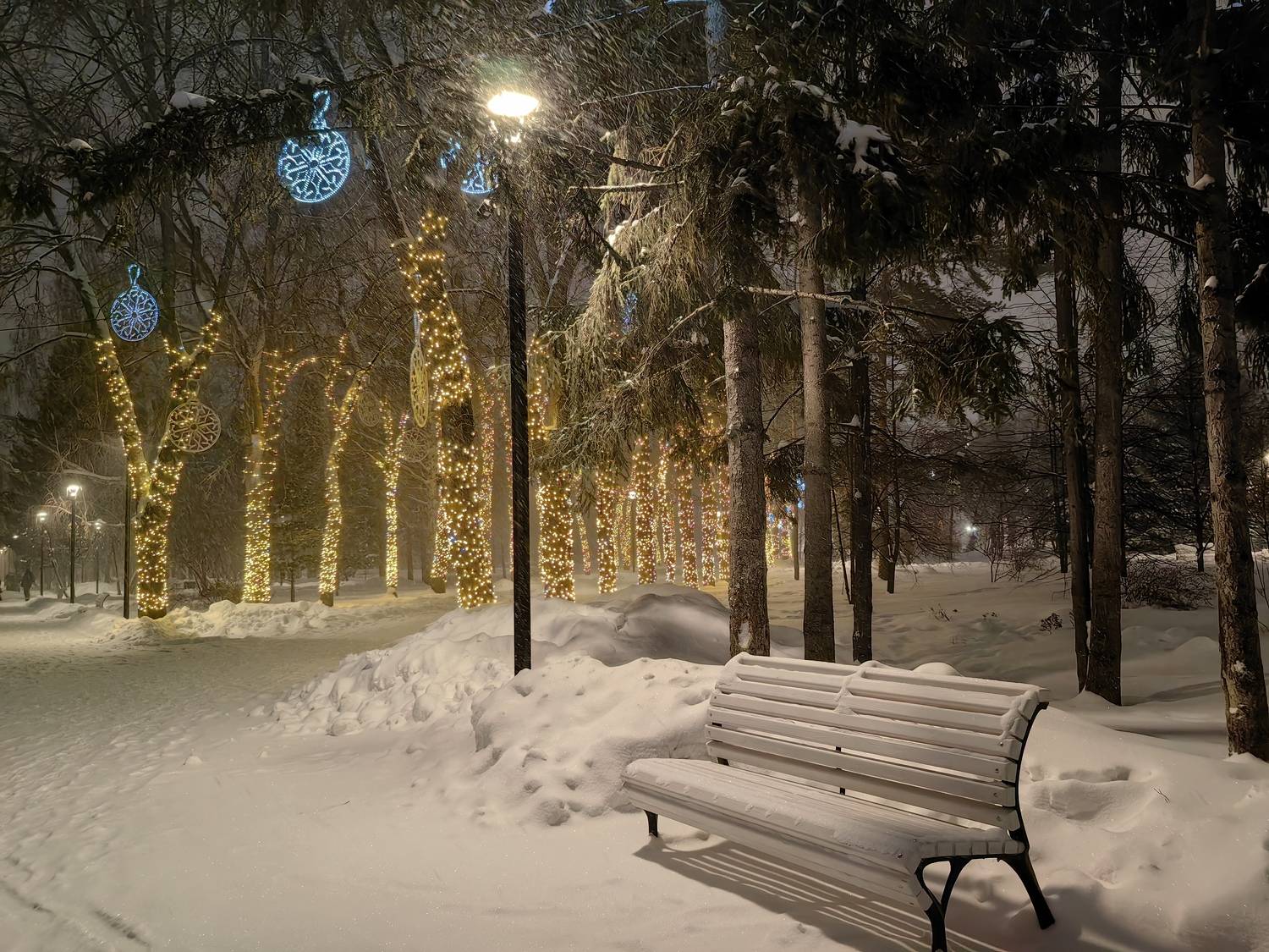 вечер,сквер,новосибирск,скамейка, Козлова Галина