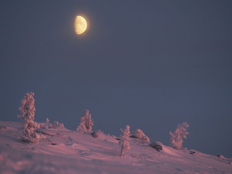И посреди полярной ночи восходит солнце. фото превью