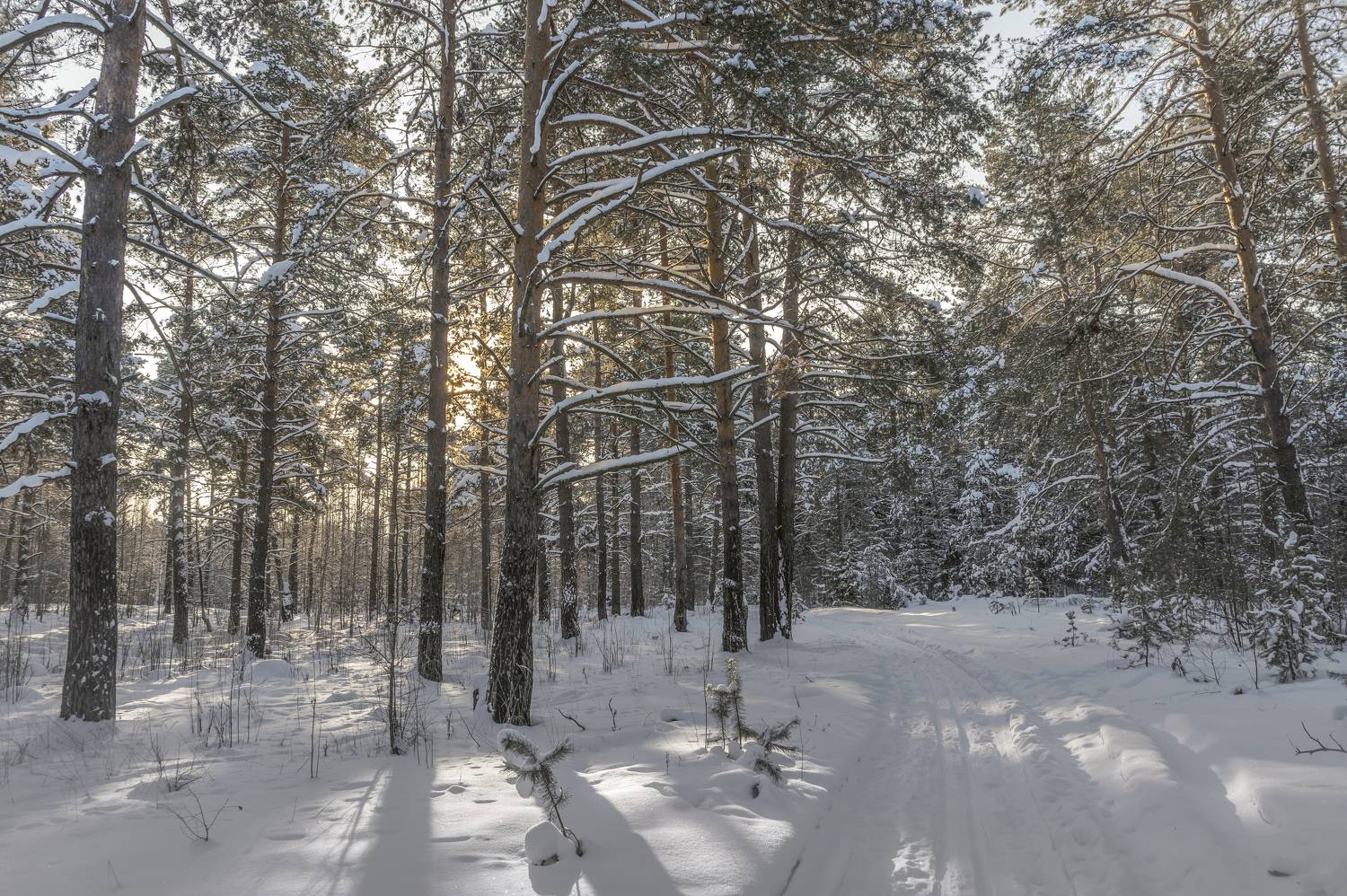 , Шитов Александр