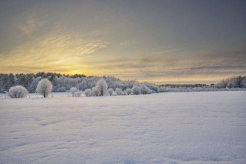 Снег в поле