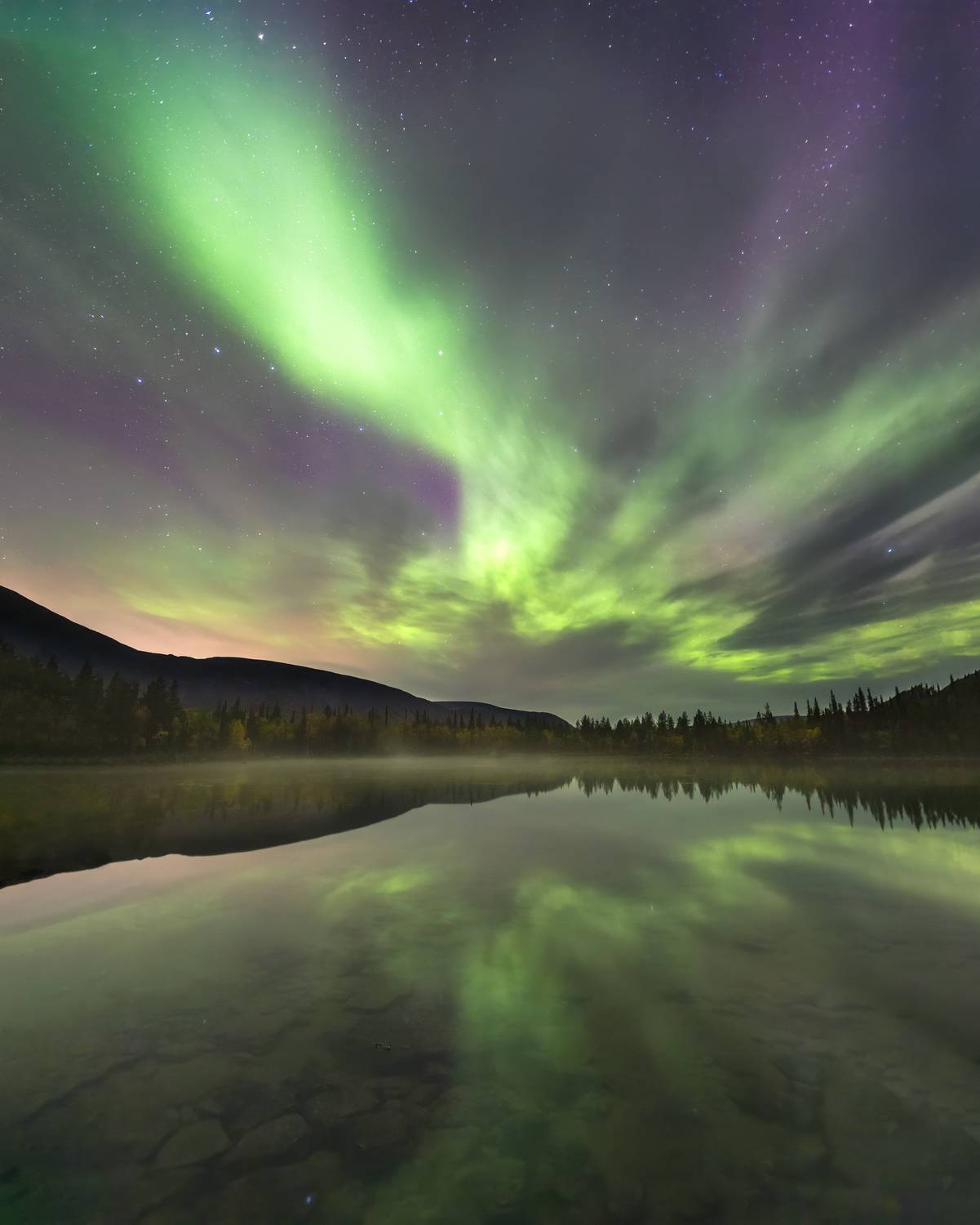 , Столыпин Юрий