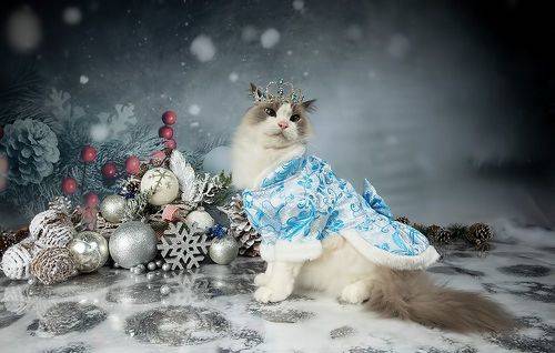 Матильда. Снегурочку - вызывали? Happy New Year!