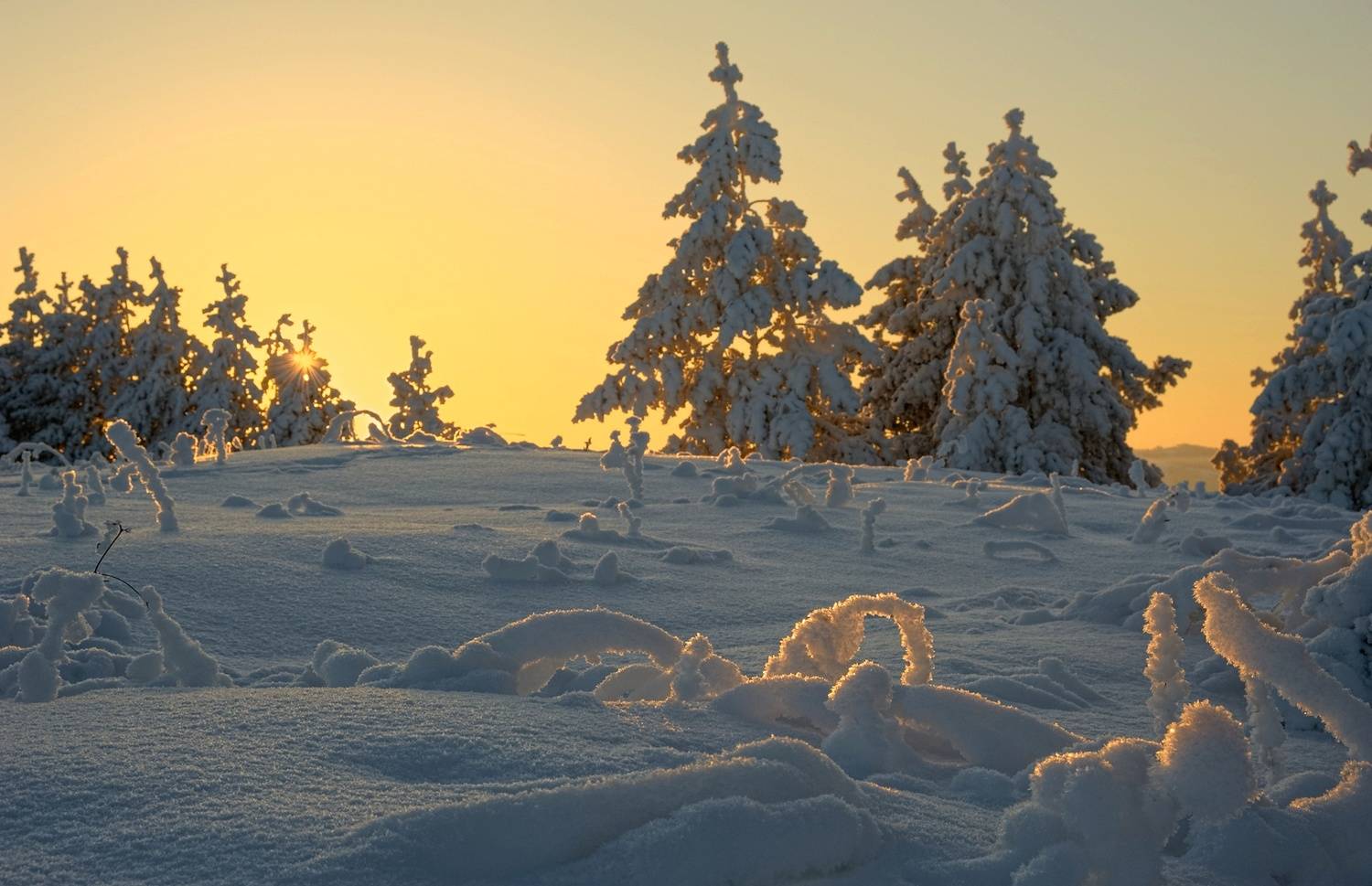 , Шустиков Дмитрий