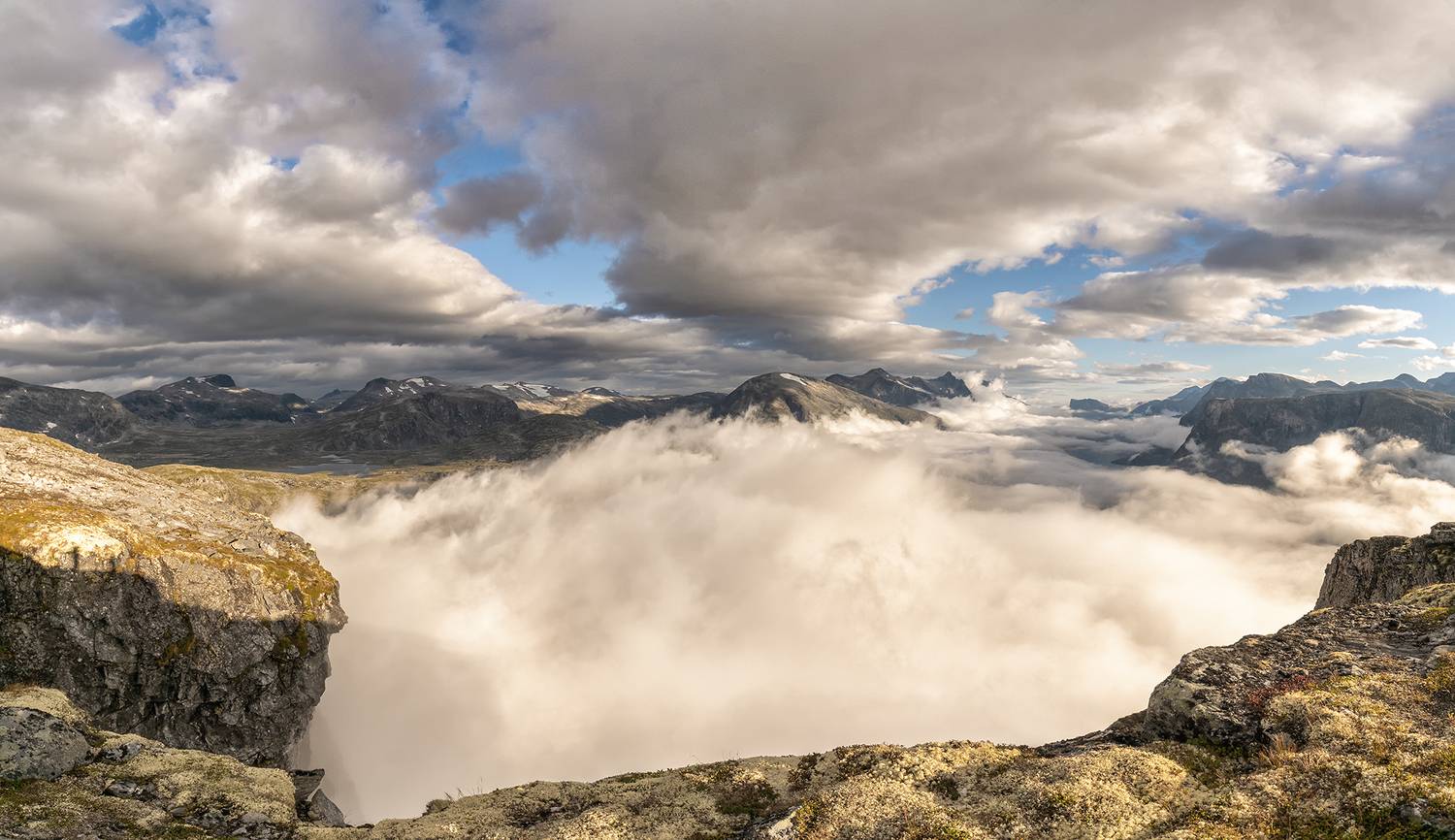 , Лариса Дука