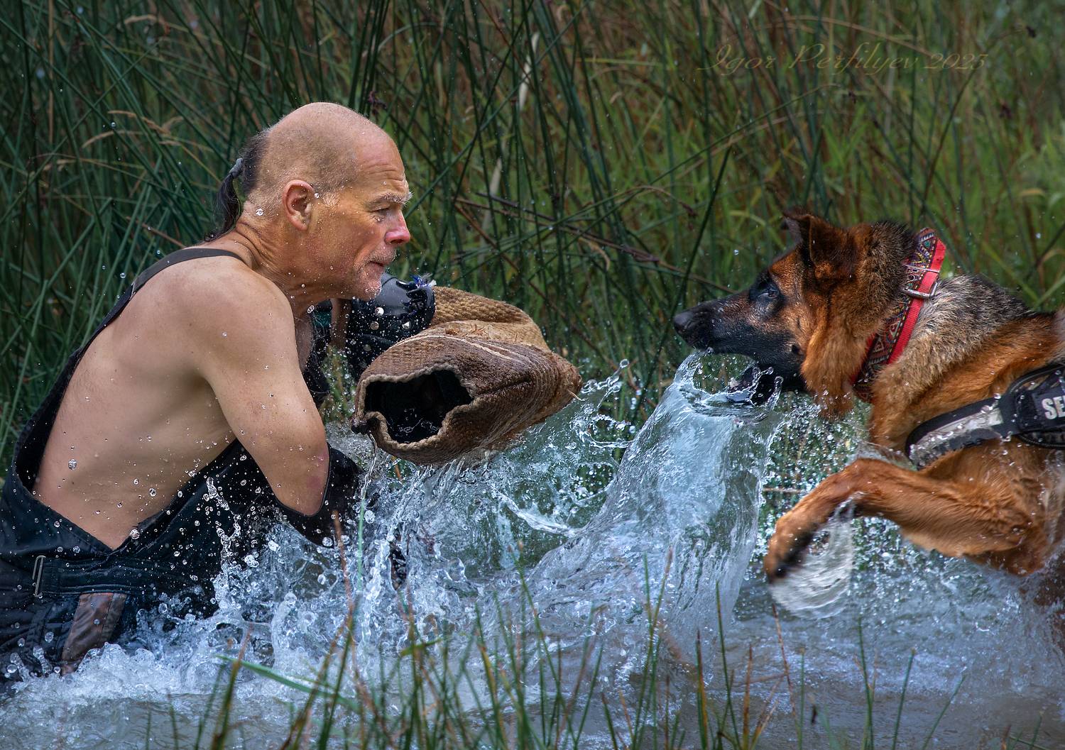 , игорь перфильев