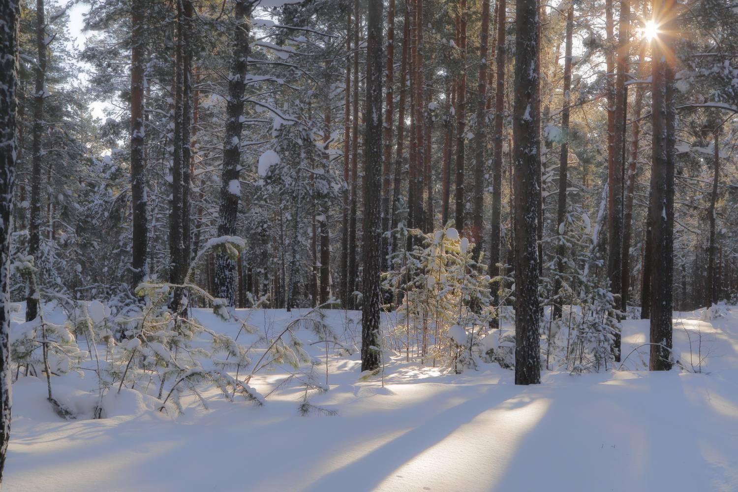 , Евгений Зинов