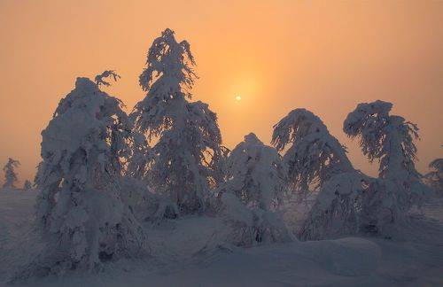 На встречу...