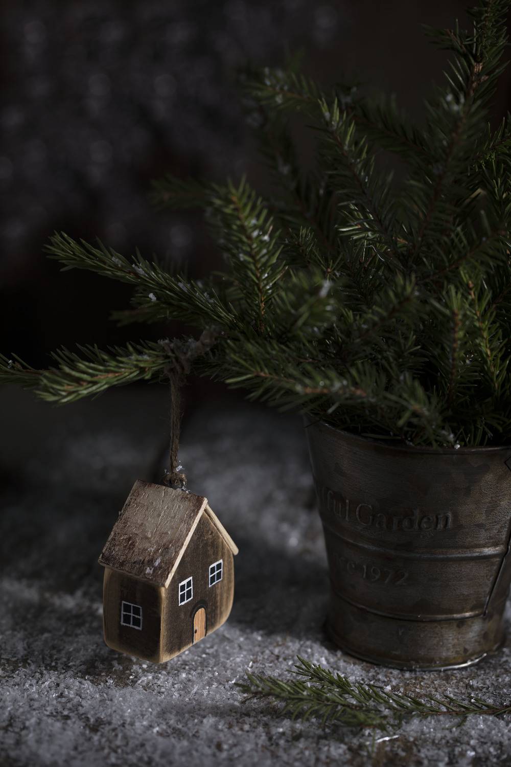 , Наталья Бочкарева