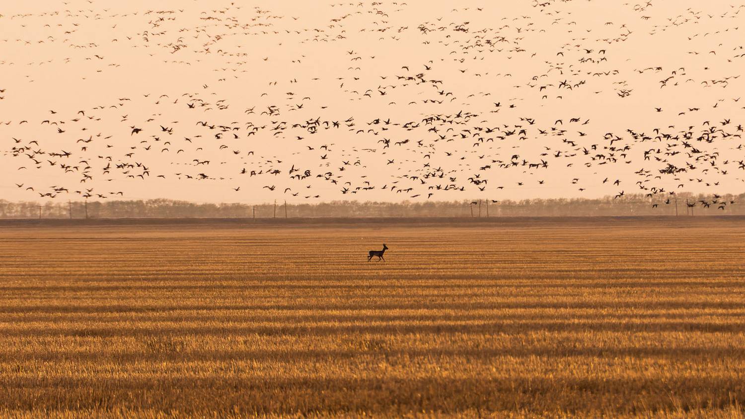 , Савенко Кирилл
