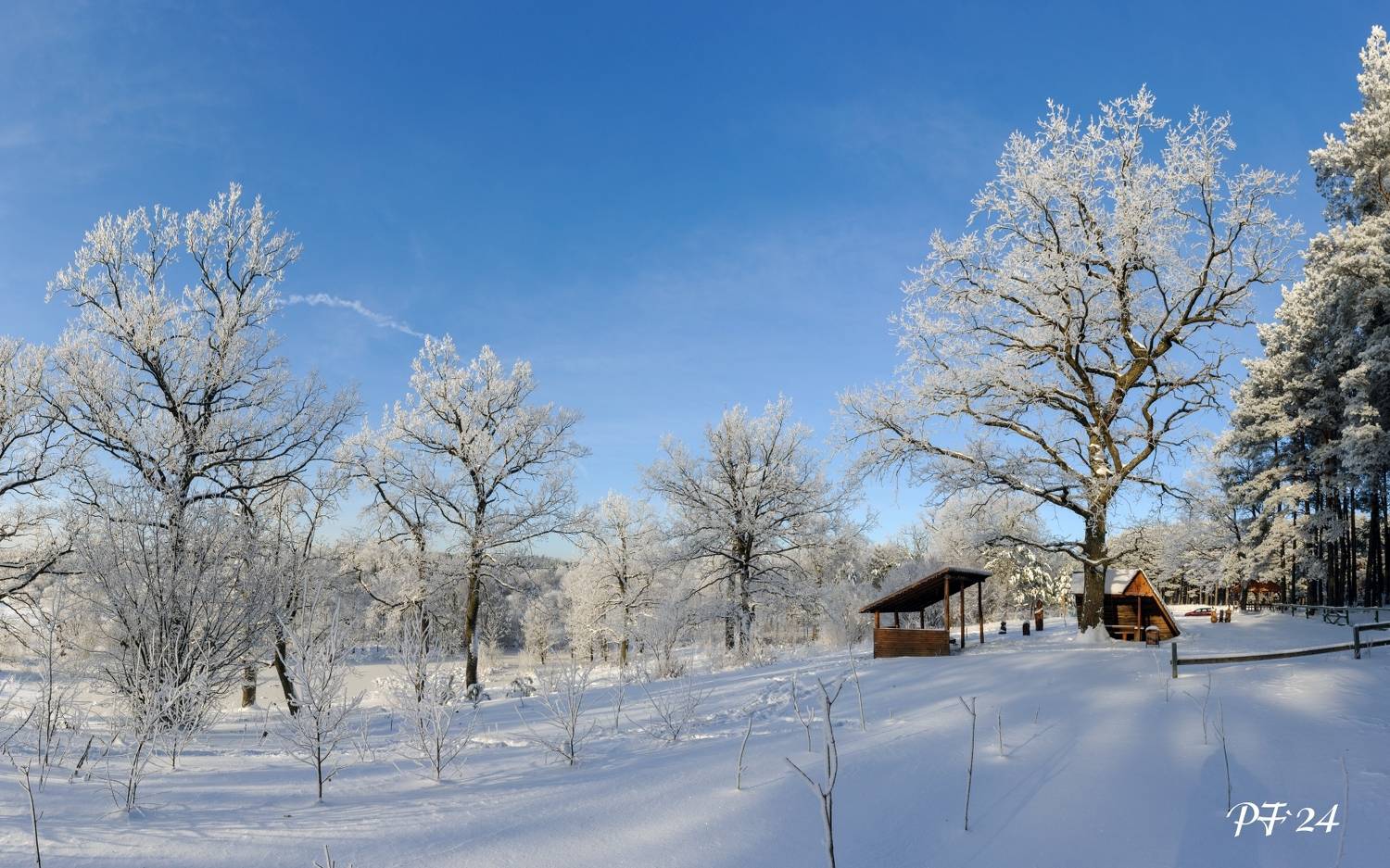 , Никитин Николай