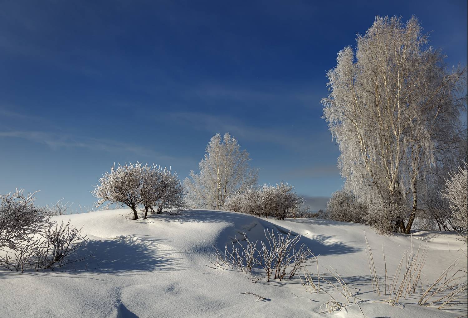 , Алексей Хахлов