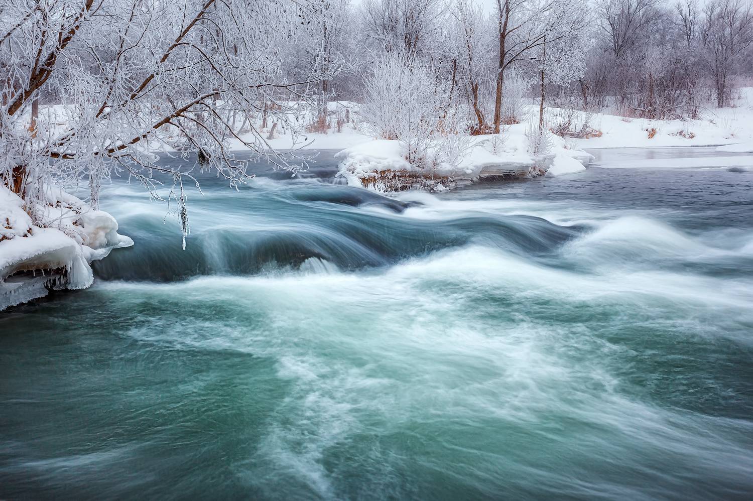 , Никитин Алексей