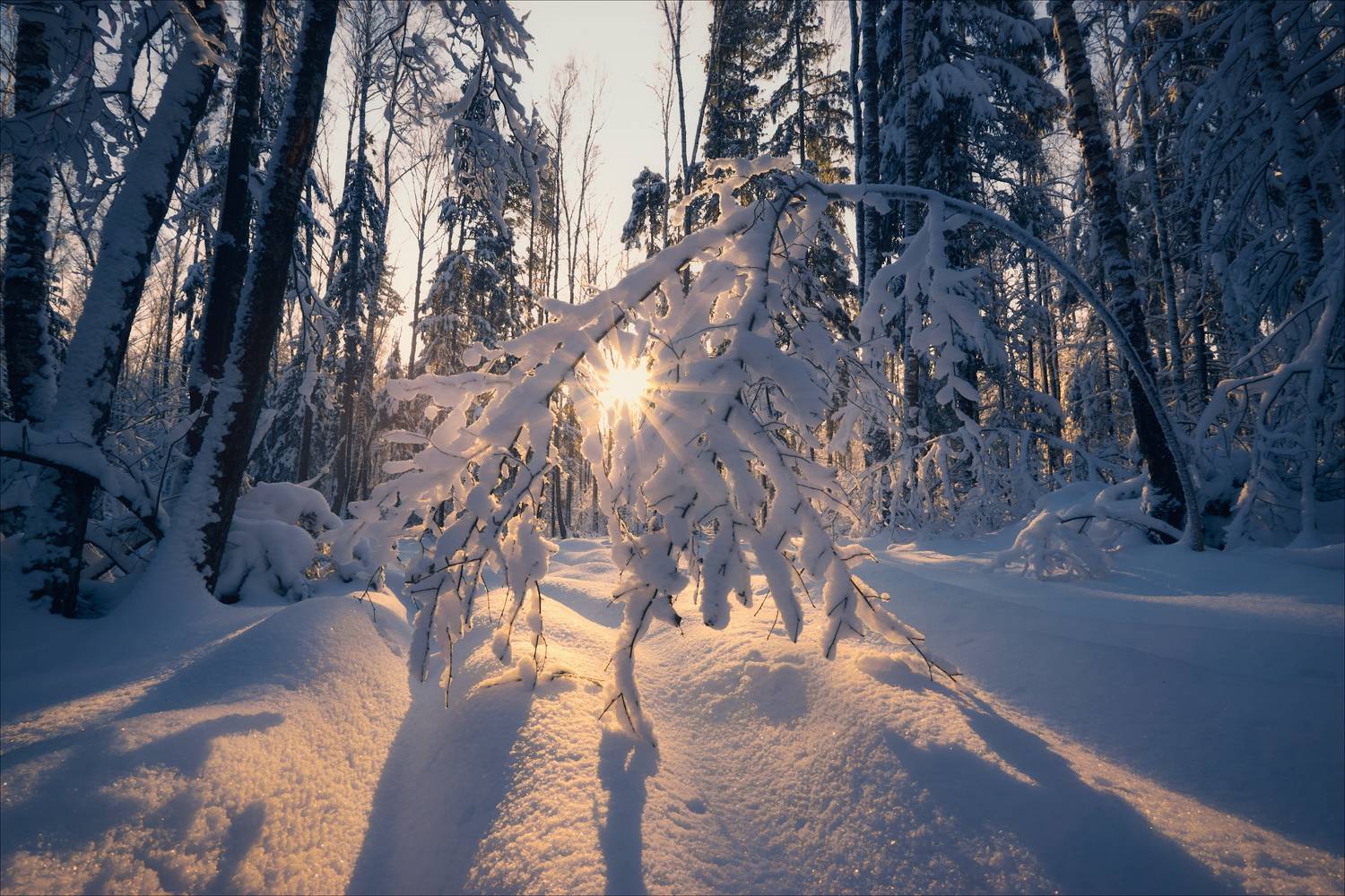 , Богорянов Алексей