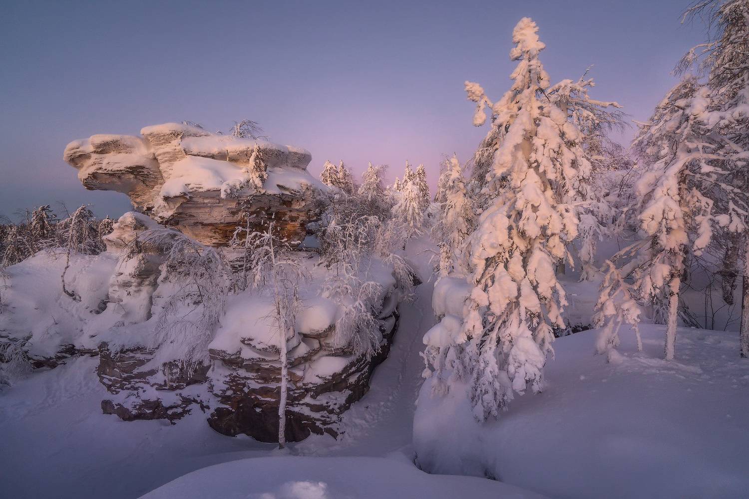 , Владимир Ляпин
