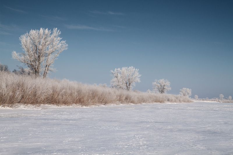 Всех с наступающим 2024!!! фото превью
