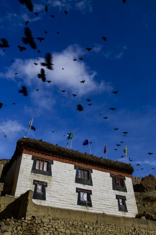 Himalaya фото превью