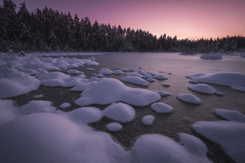 В свете декабрьского заката фото превью
