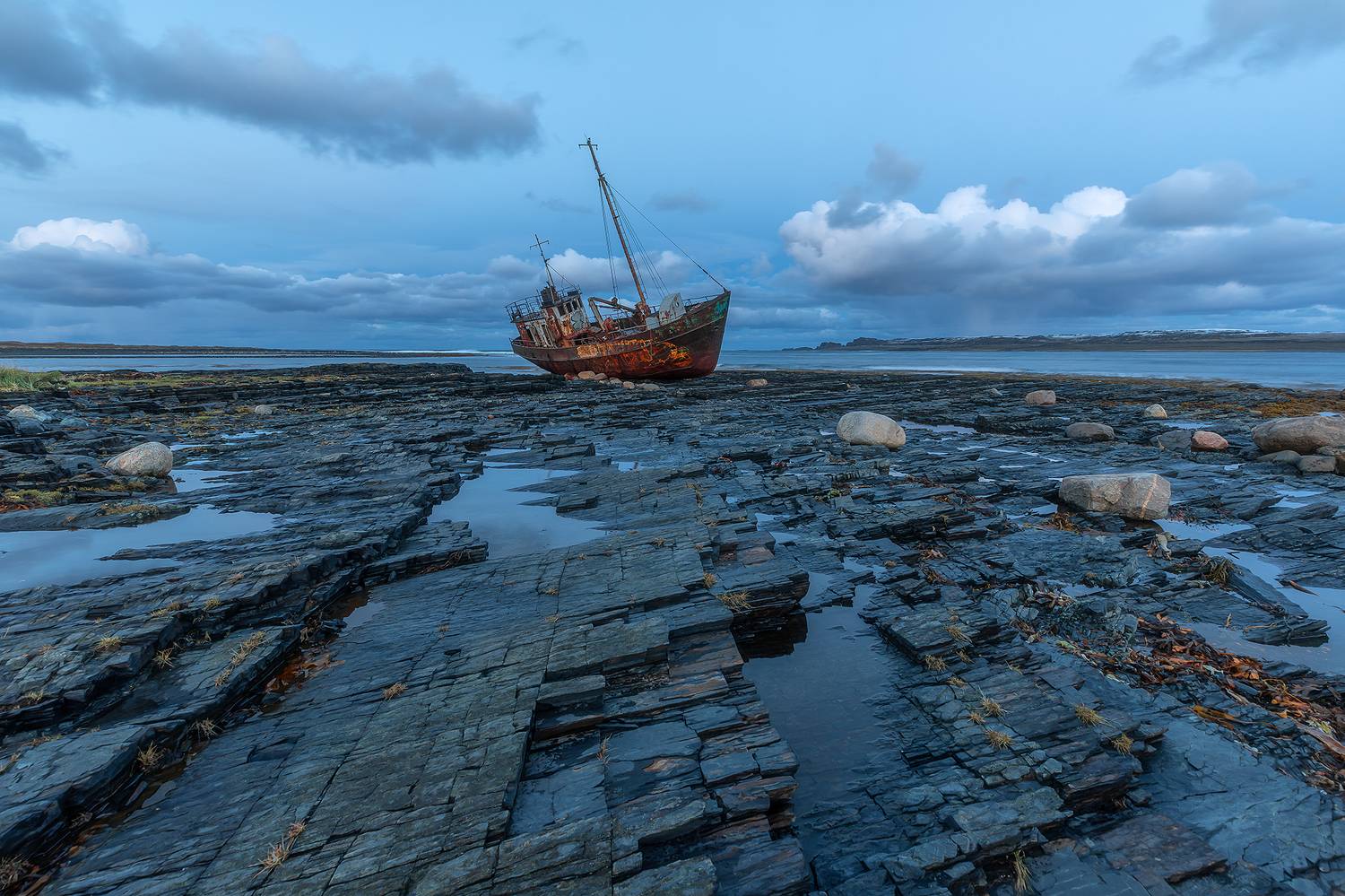 , Александр Пашеничев