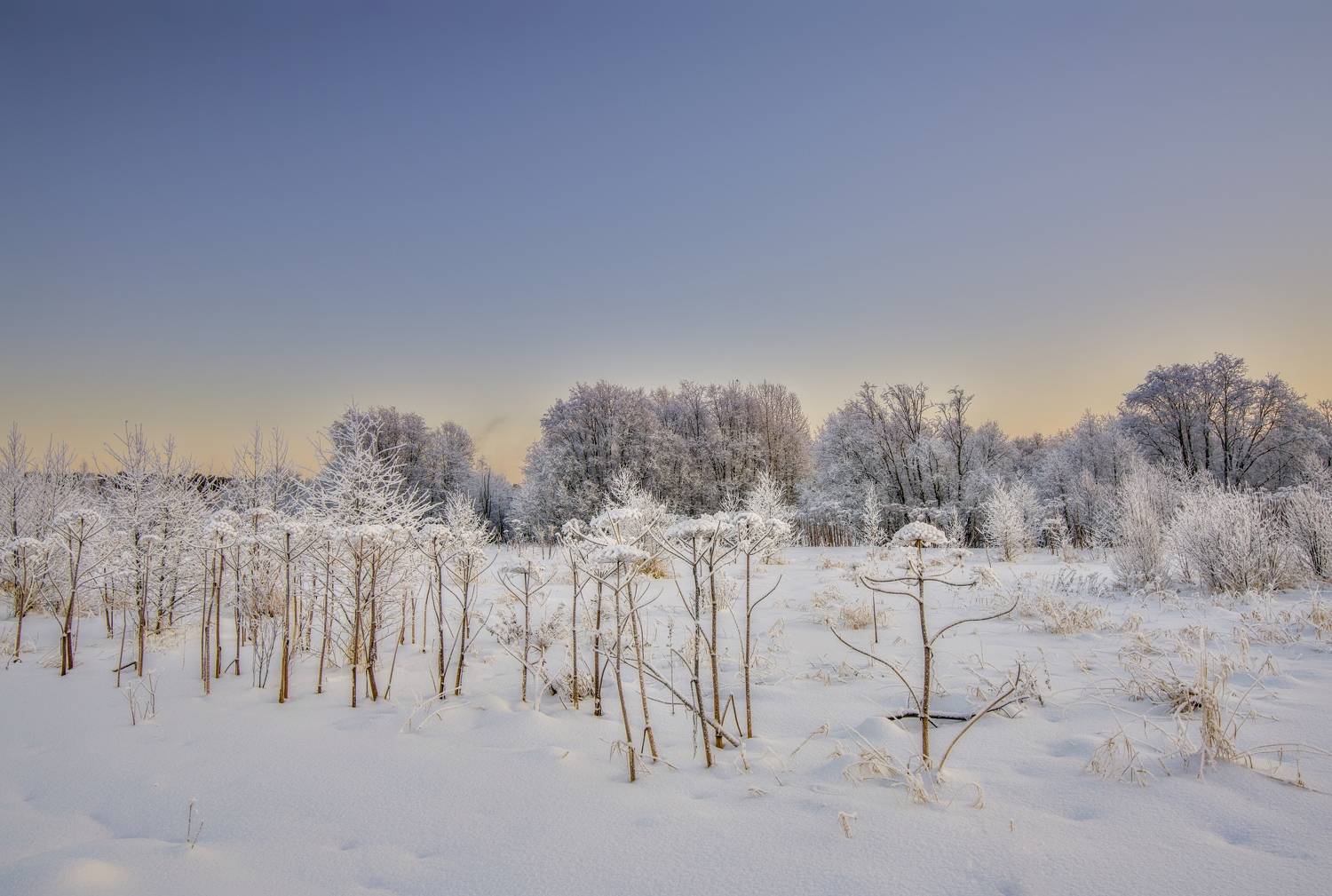 , Шишпанов Игорь