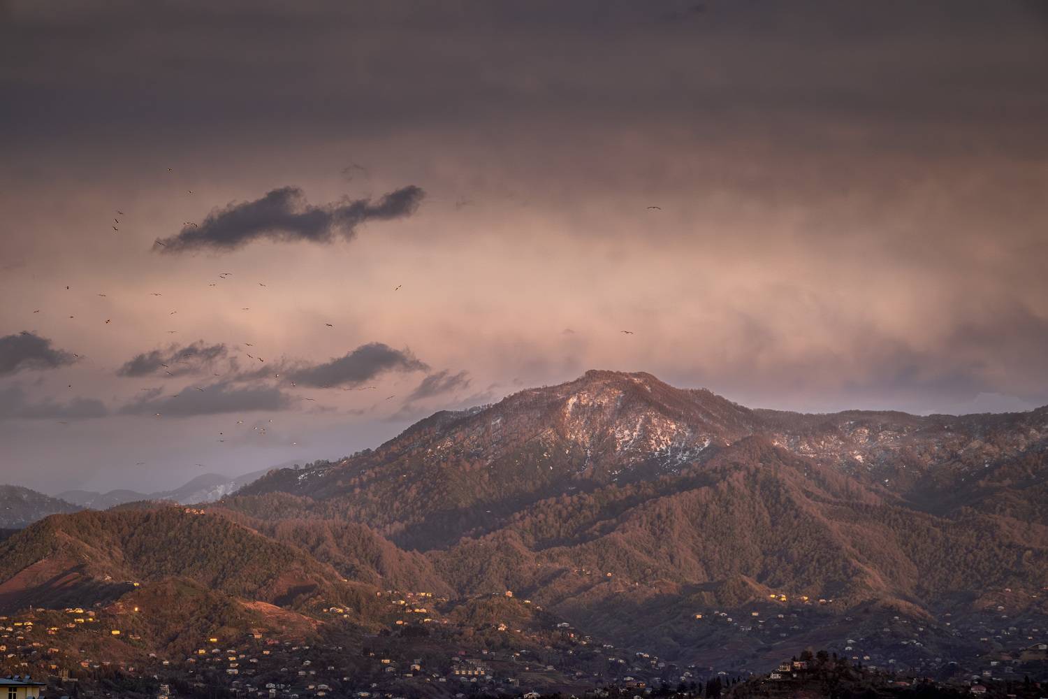 gulls, sunset, clouds, sky, mountains, winter, weather, landscape, scenery, travel, outdoors, georgia, adjara, sakartvelo, batumi, chizh, Чиж Андрей