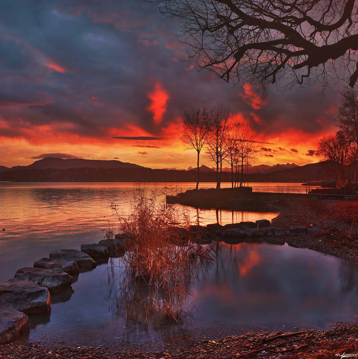 swiss,швейцария,женева,новый год,утро,geneva, Матвеев Николай