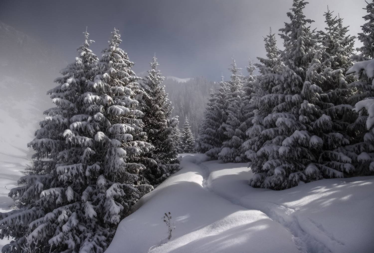 , Леонид Дьяченко