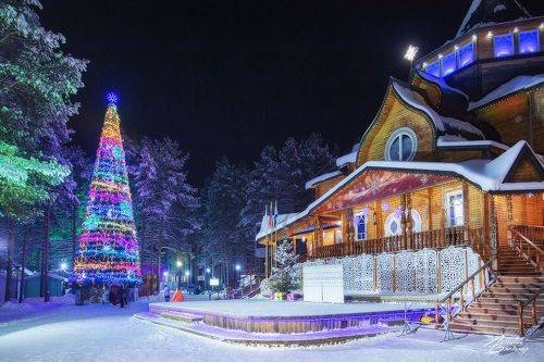 Главная Елка Деда Мороза.