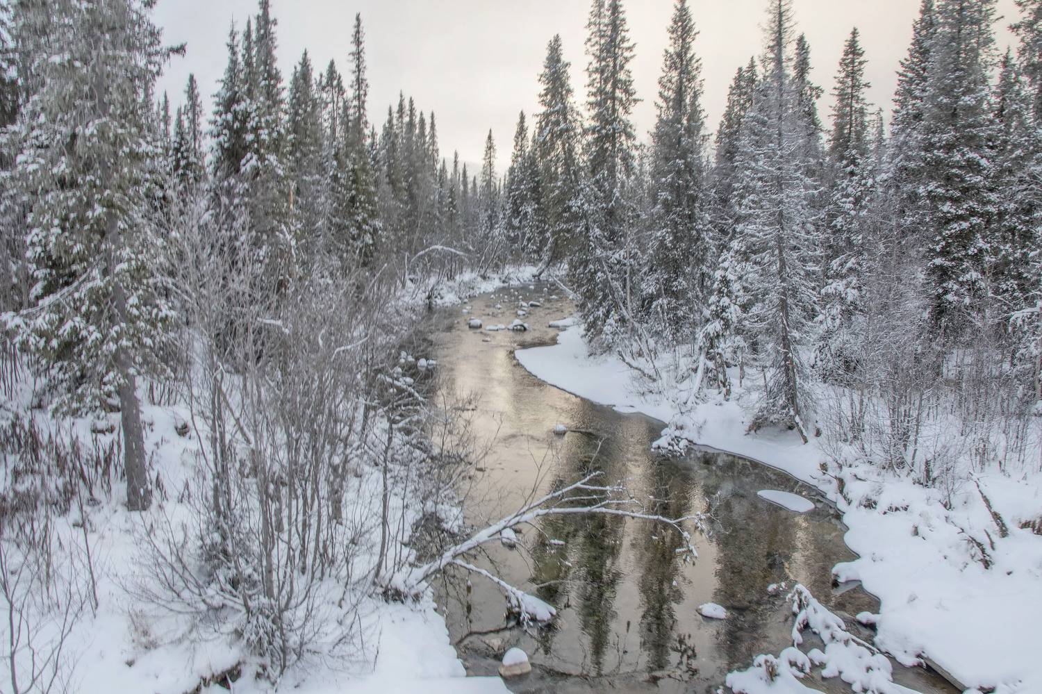 , Добролюбова Тамара
