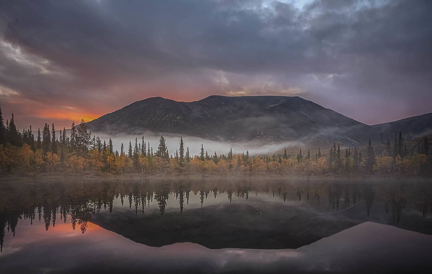 , Елена Маковоз