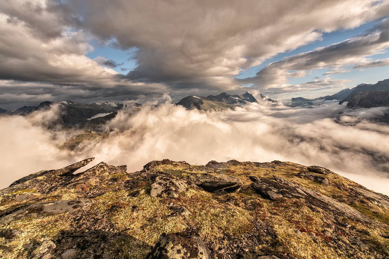 , Лариса Дука