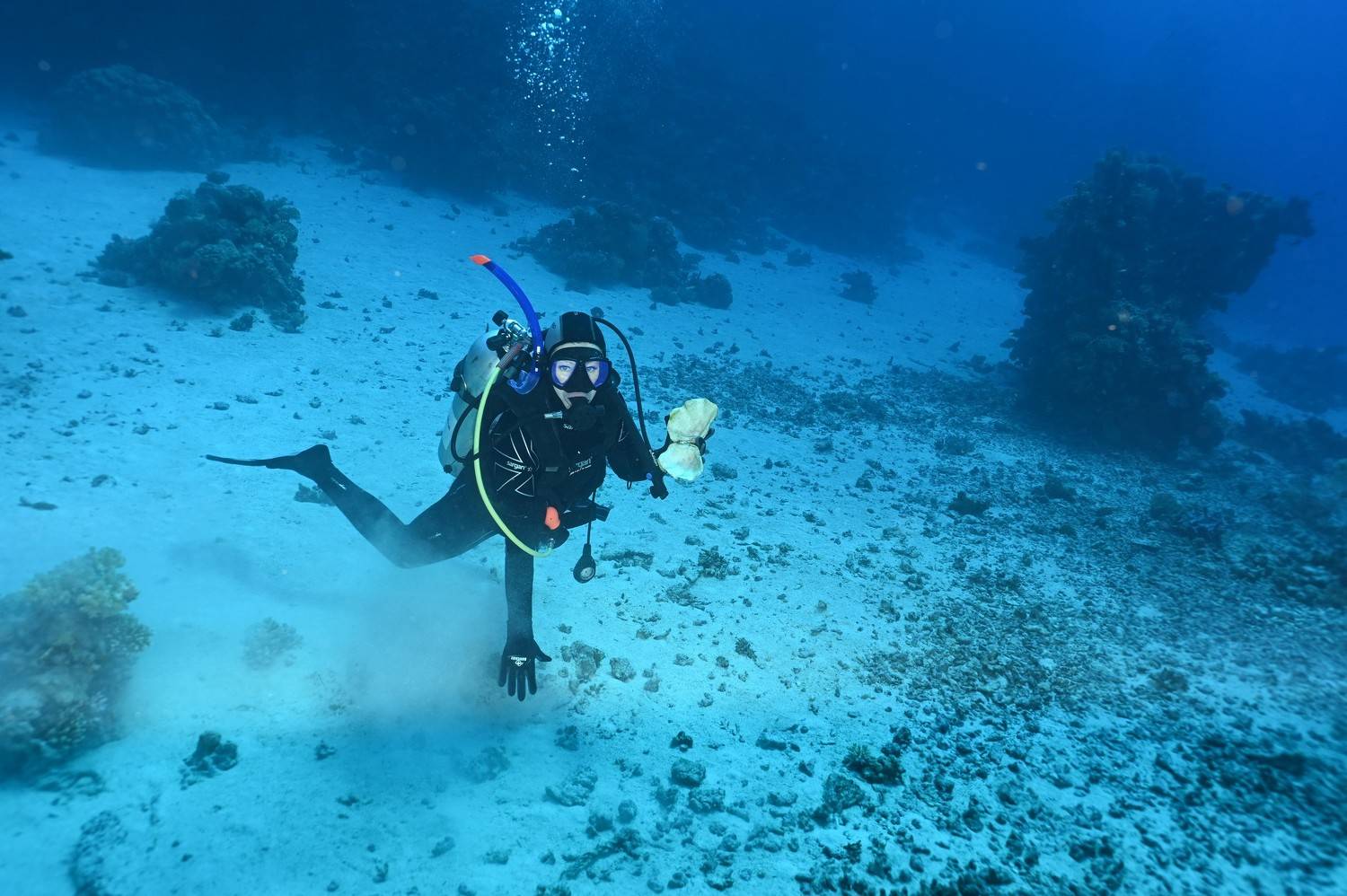 , Валерий Одинцов