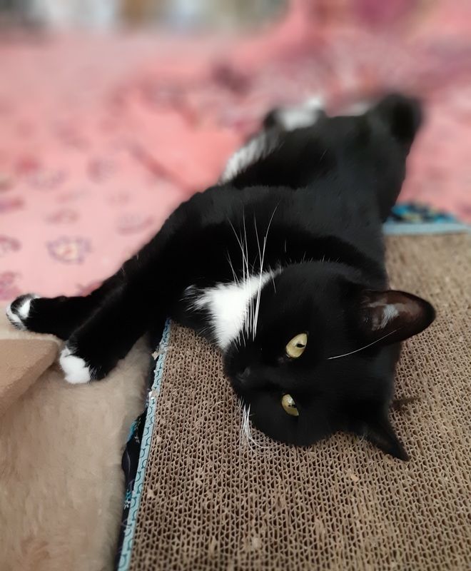 1 января 2024 фото превью