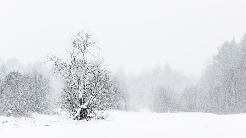 vk.com/lerondis фото превью